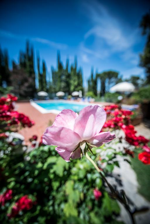 Luisa Hotel 3*